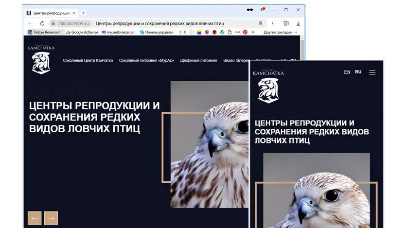Сайт для соколиного центра "Камчатка"
